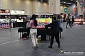VBS_2263 - Torino Comics 2023